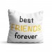 Perna decorativa Best friends forever
